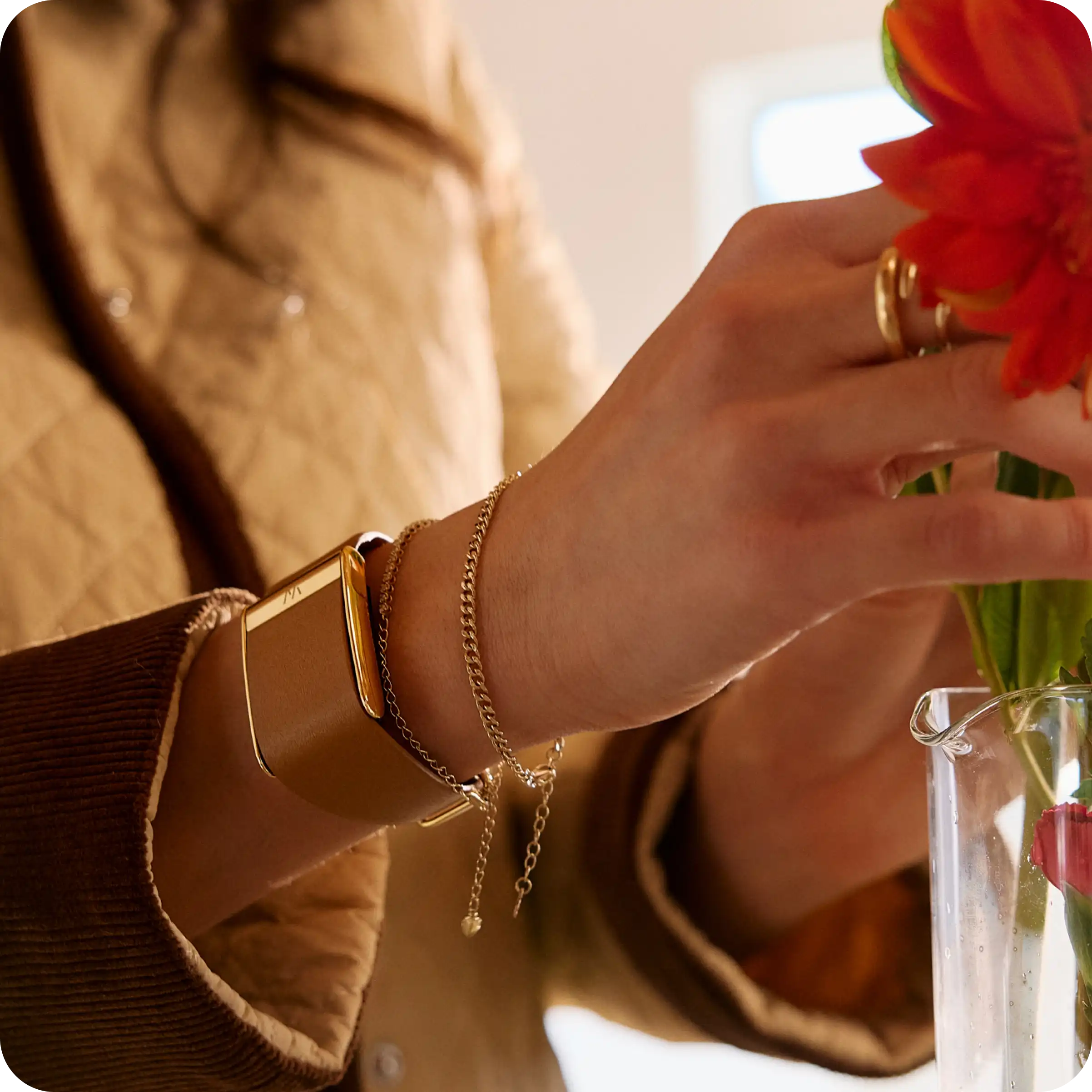 A Czech WHOOP blog with an American audience — and what it says about WHOOP in both countries